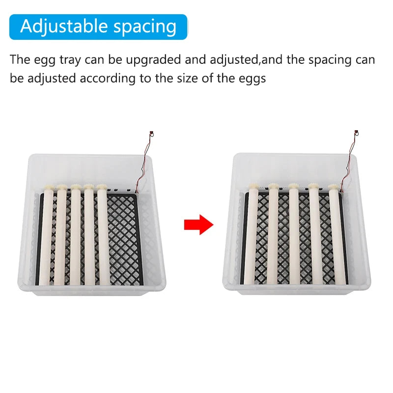 16 Eggs Dual-Electric Automatic Egg Incubator &ndash; Auto Turn