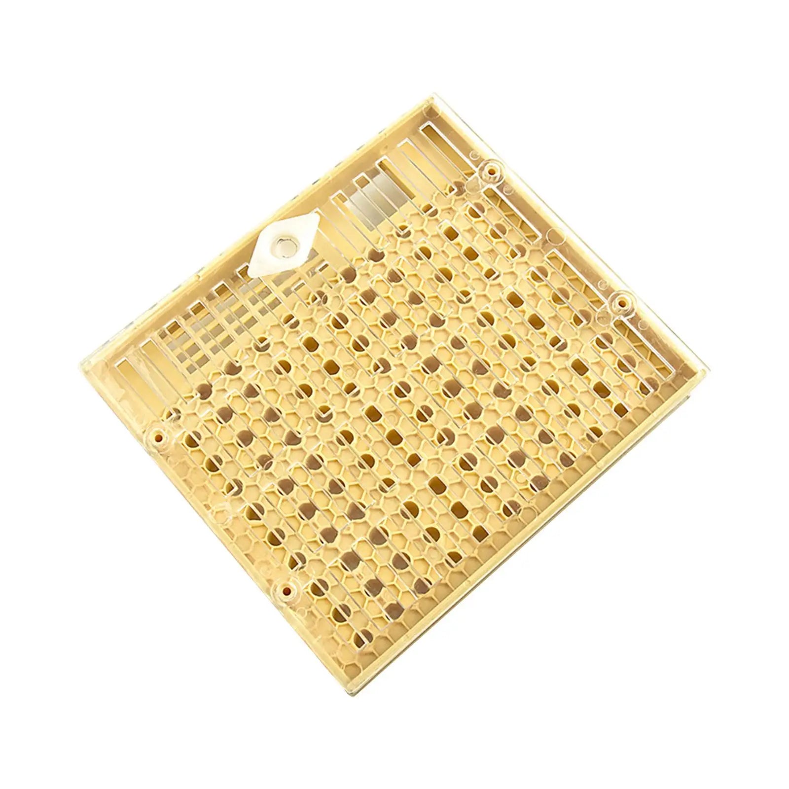 Beekeeping Queen Bee Rearing Box &ndash; Safe Grafting Kit