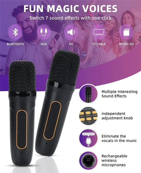 High Power Karaoke Speaker &ndash; Two Microphones Included