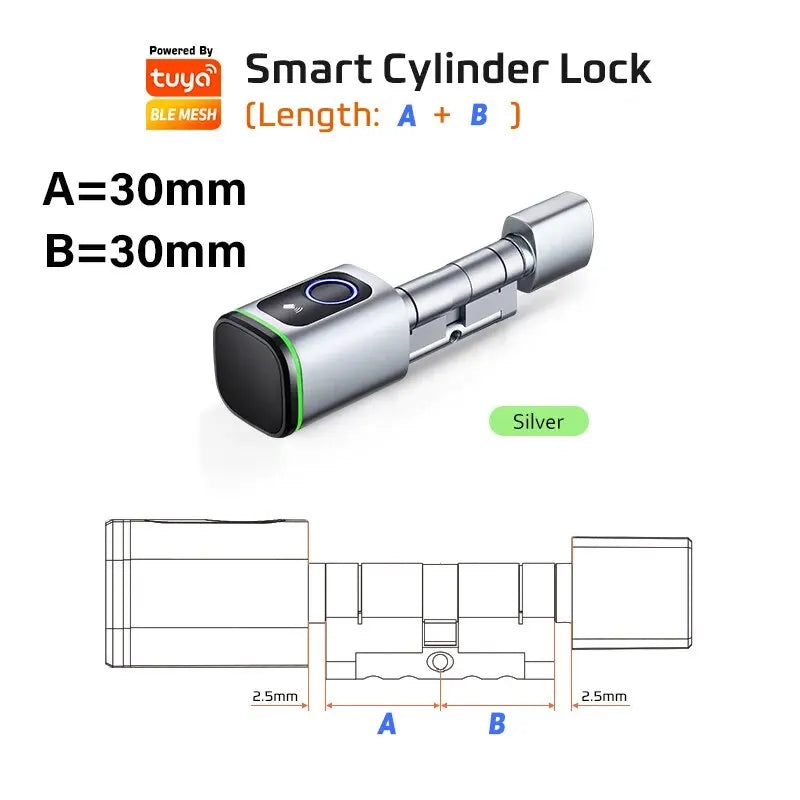 RAYKUBE V1 Smart Cylinder Lock &ndash; Biometric Keyless Security Silver A30 B30