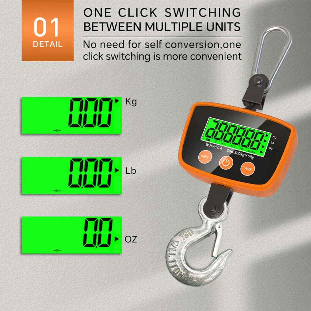 Heavy Duty Crane Scale 300Kg 500Kg WH-C04 &ndash; LCD Display