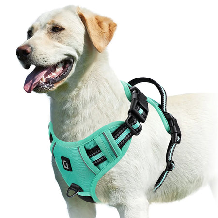 No Pull Dog Harness &ndash; Soft Padded Vest With Easy Control