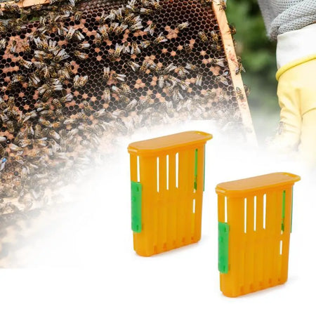 Beekeeping Queen Cage Set 5Pcs &ndash; Safe Queen Transport