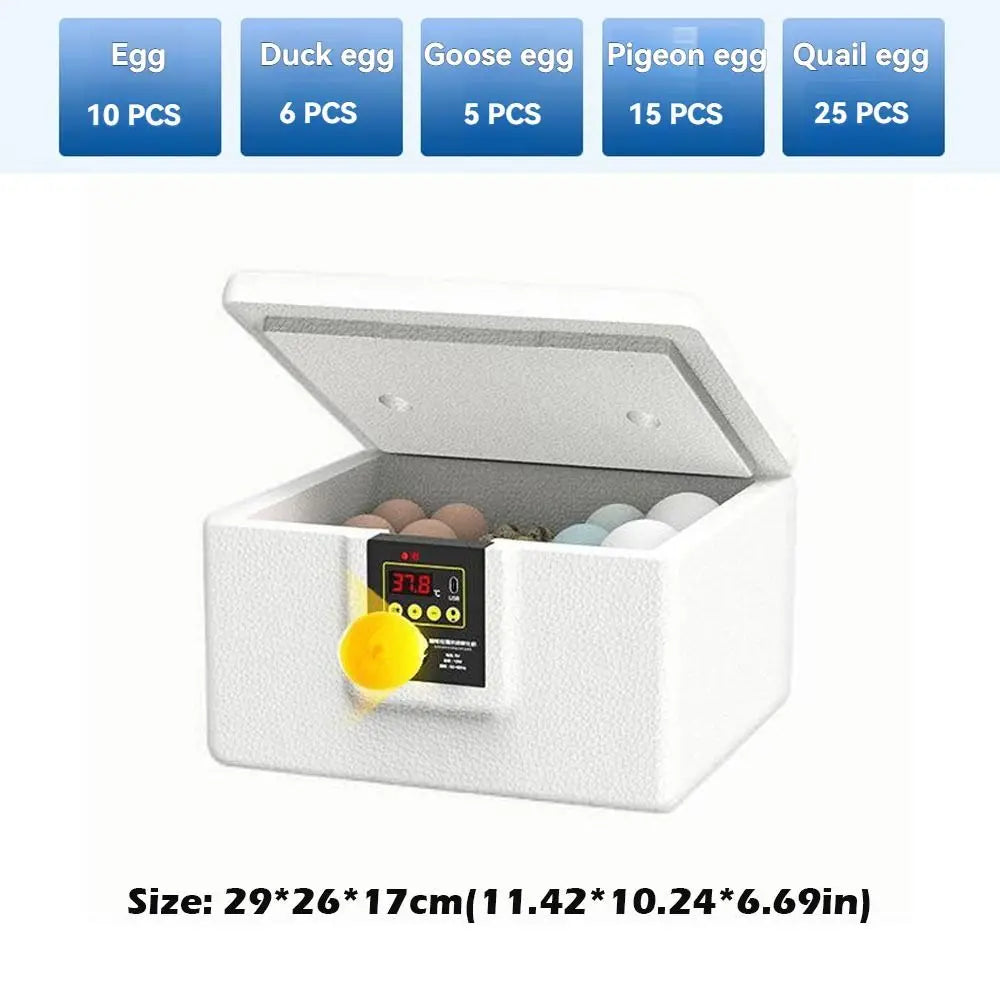 24-Hour Thermostatic Egg Incubator - Quiet Operation
