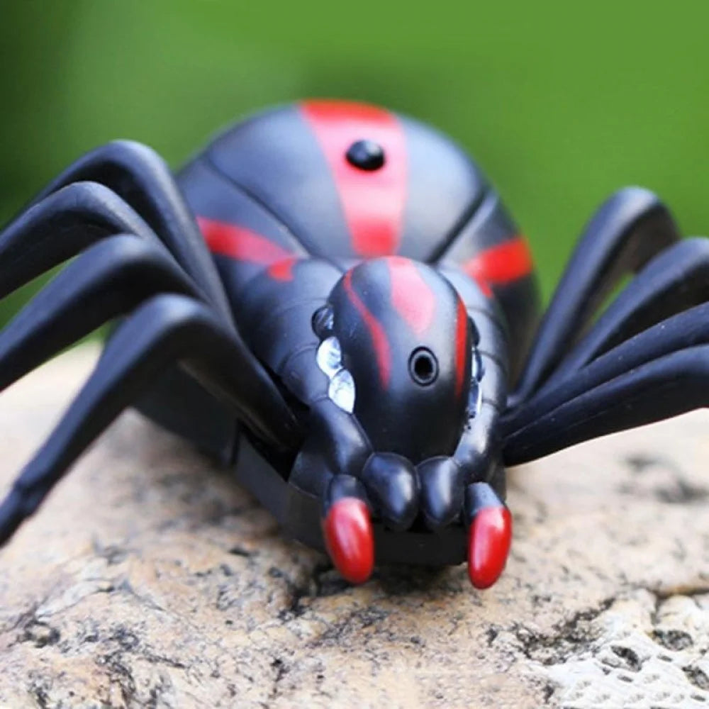 Rc Insect Remote Control Spider Toy Kit &ndash; Fun Prank for Kids and Adults