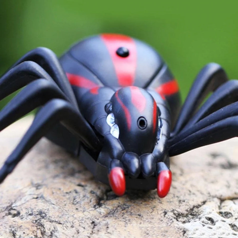 Rc Insect Remote Control Spider Toy Kit &ndash; Fun Prank for Kids and Adults