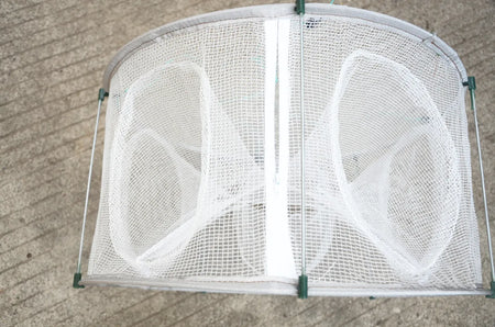 Foldable Automatic Fishing Net for Crabs, Lobsters, and More - Durable &amp; Easy to Use
