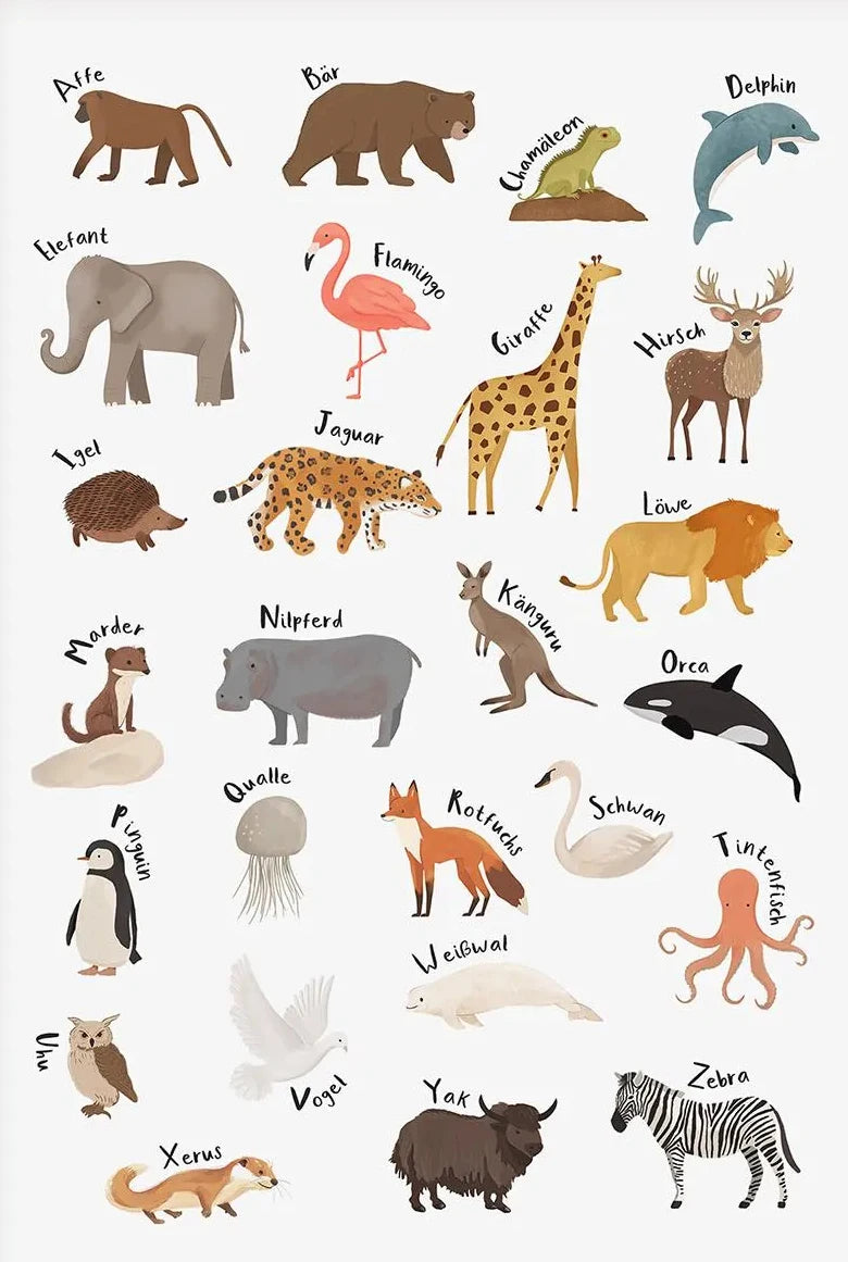 Alphabet Education Canvas Poster for Children's Room, Modern Wall Decor, Unframed 4 / 50X70cm Unframed