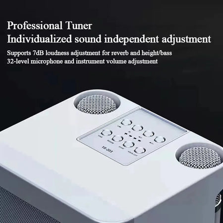 YS-203 Dual Microphone Karaoke Machine - Dual Wireless Mics