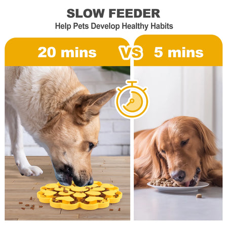 Pet Slow Feeder Bowl &ndash; Choke Proof Silicone Design