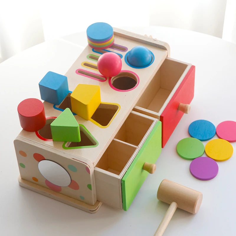Montessori Wooden Sorting Toy For Kids With Color And Shape Matching Box