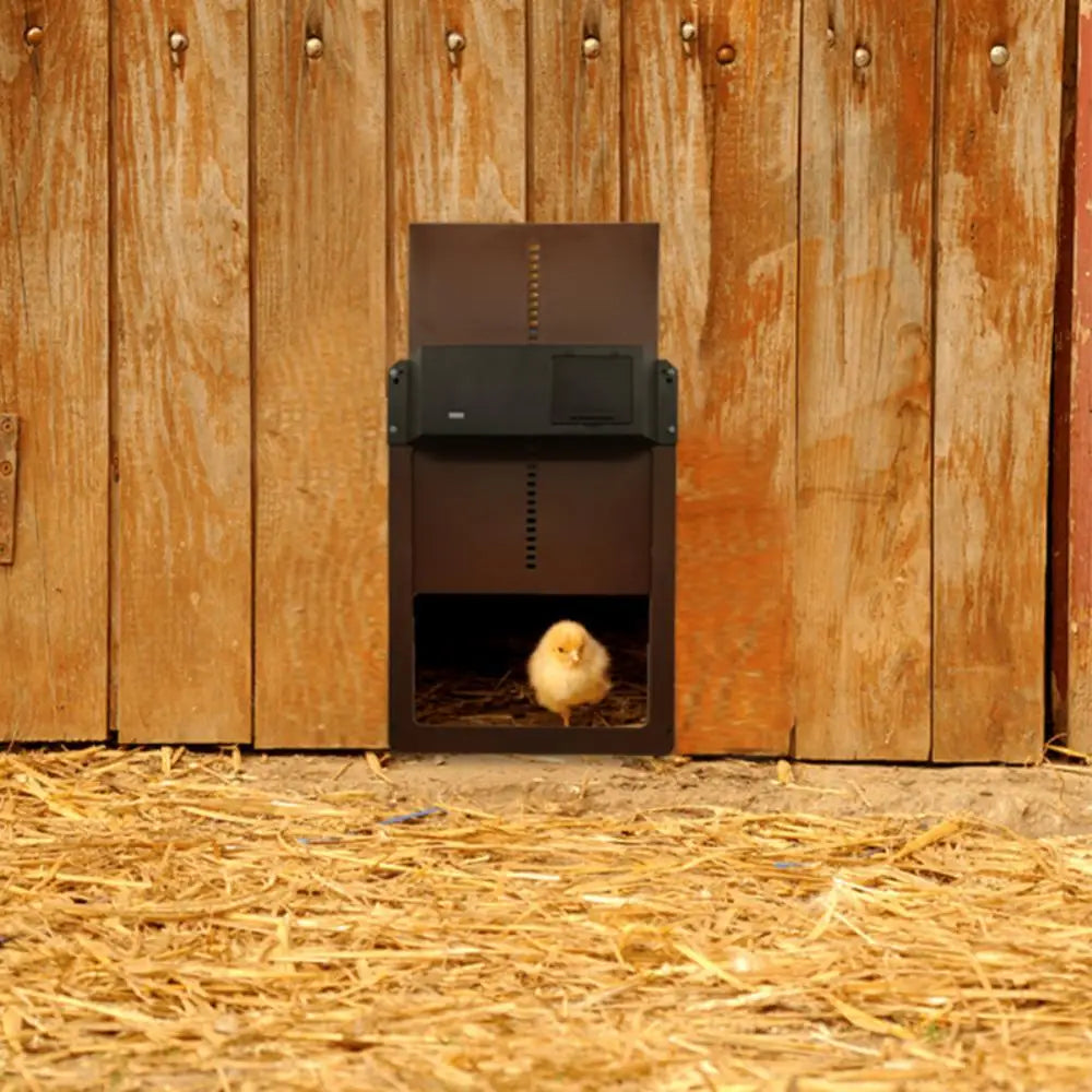 Automatic Chicken Coop Door Light Sensor - Auto Opening