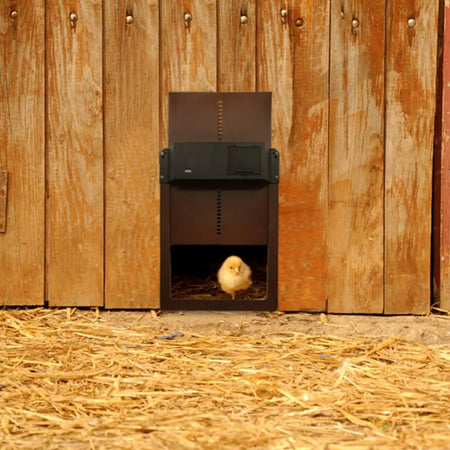 Automatic Chicken Coop Door Light Sensor - Auto Opening