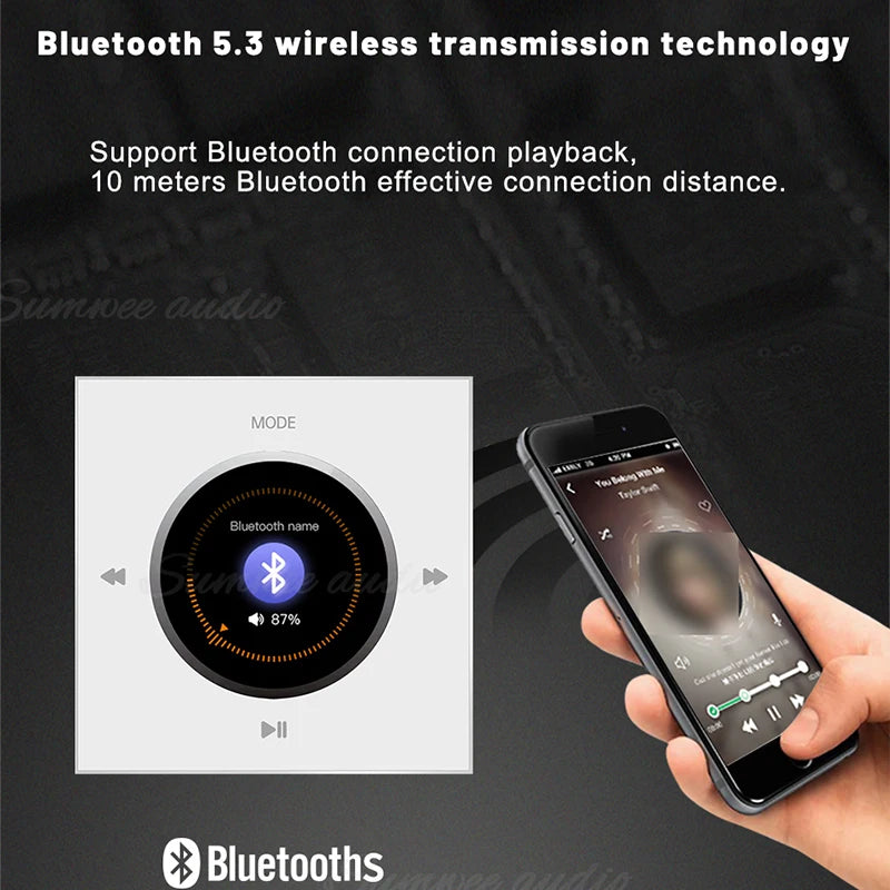 Wandmontierter Bluetooth-Verstärker mit FM HiFi Stereo und Deckenlautsprecher
