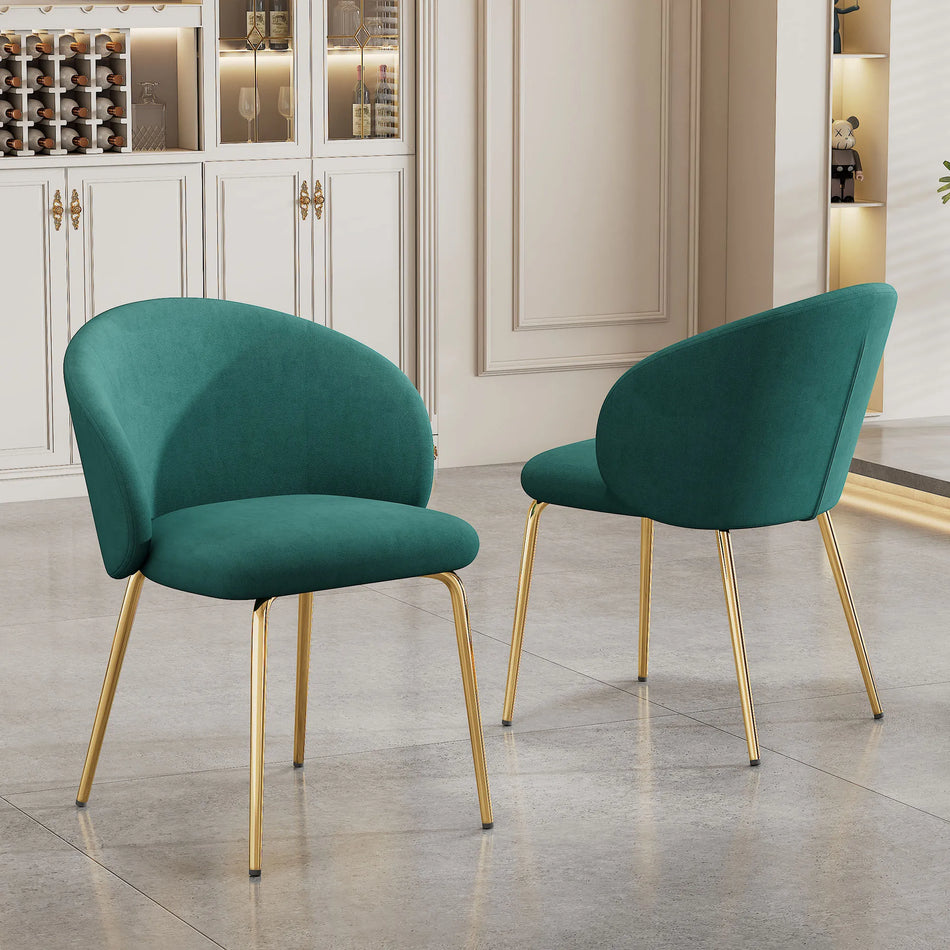 Two Velvet Dining Chairs With Armrests And Gold Legs