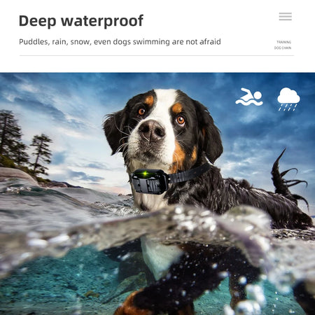 800m Electric Dog Training Collar &ndash; Waterproof Remote