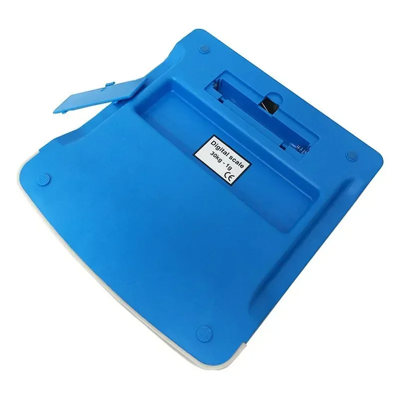 DT580 30KG 1G Precision Digital Scale - High Accuracy