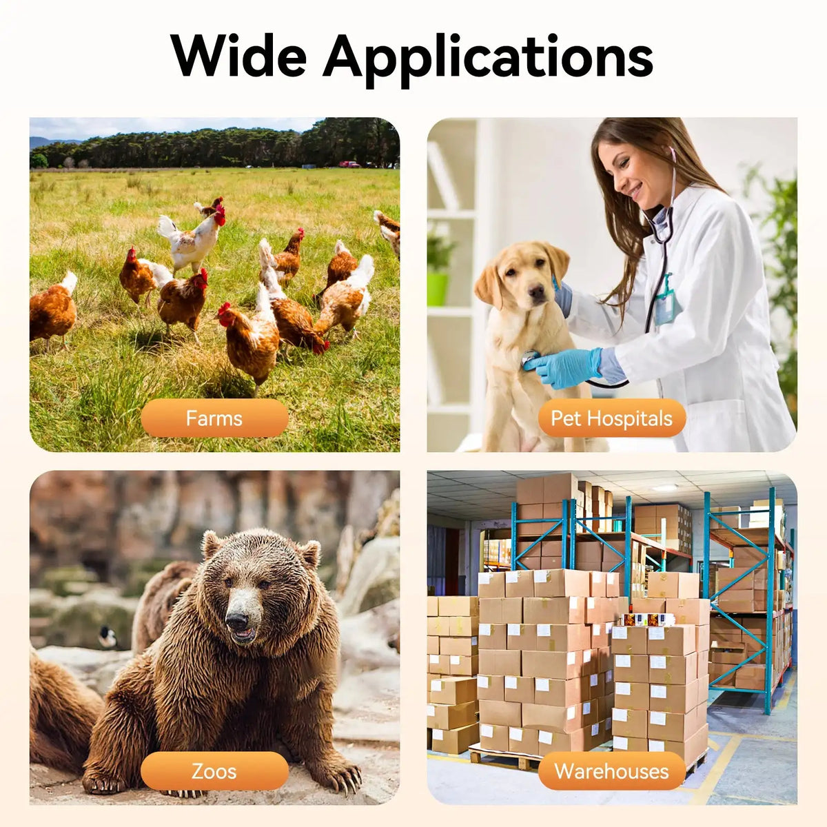 100KG Digital Animal Scale 65x45 CM &ndash; High Capacity LCD