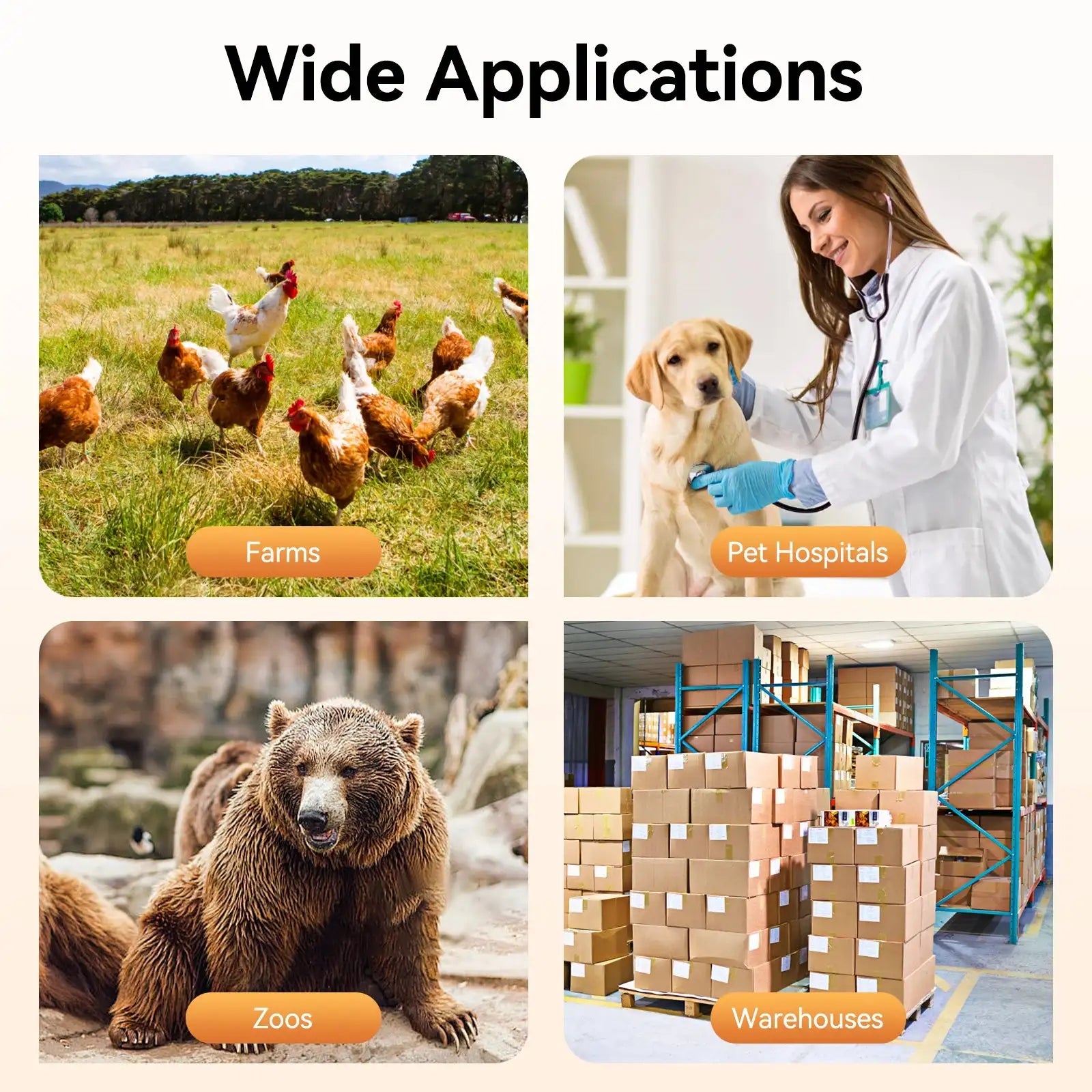 100KG Digital Animal Scale 65x45 CM &ndash; High Capacity LCD