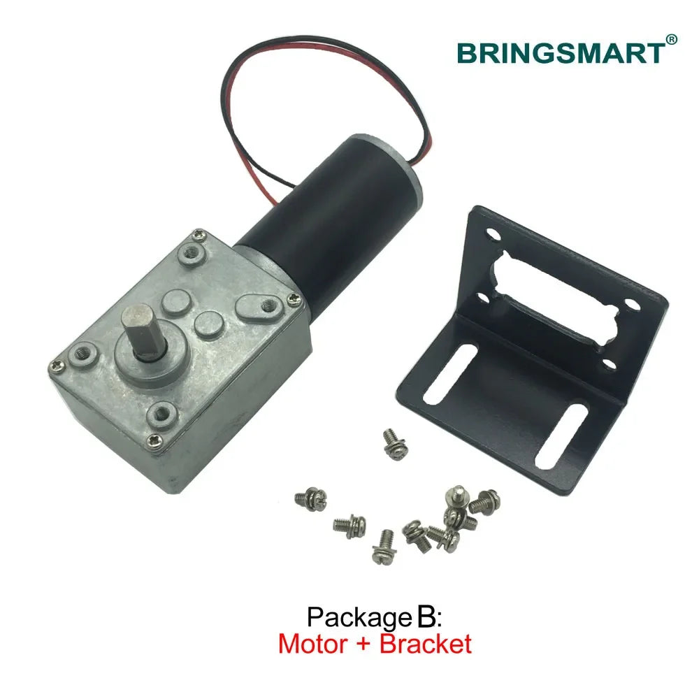 Bringsmart High Torque DC Gear Motor 12V/24V with Speed Controller