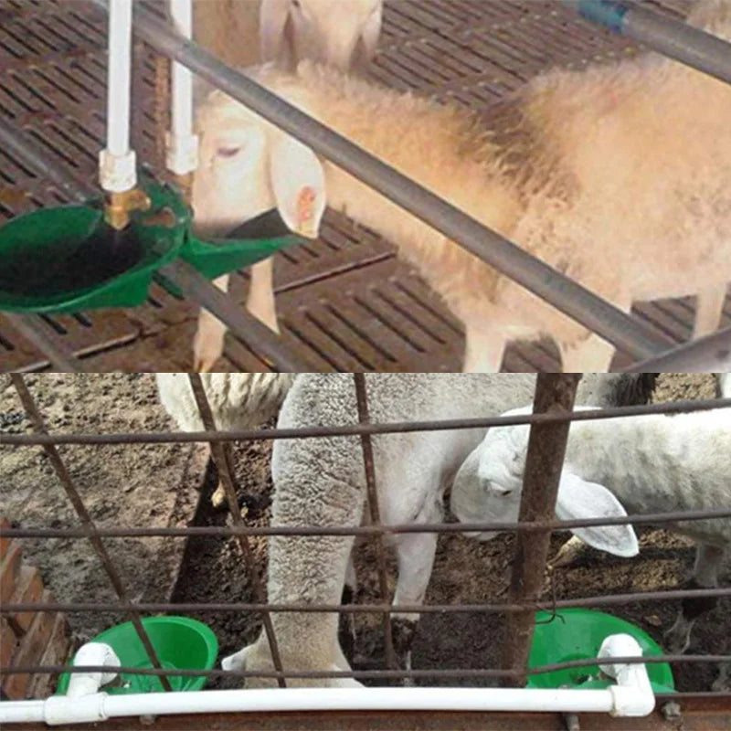 Livestock Drinker Bowl For Sheep &ndash; Bronze Valve Durability