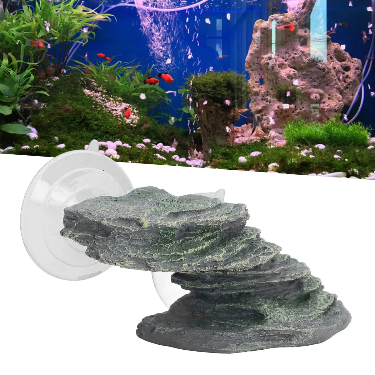 Resin Tortoise Climbing Rock Platform &ndash; Lifelike Dock