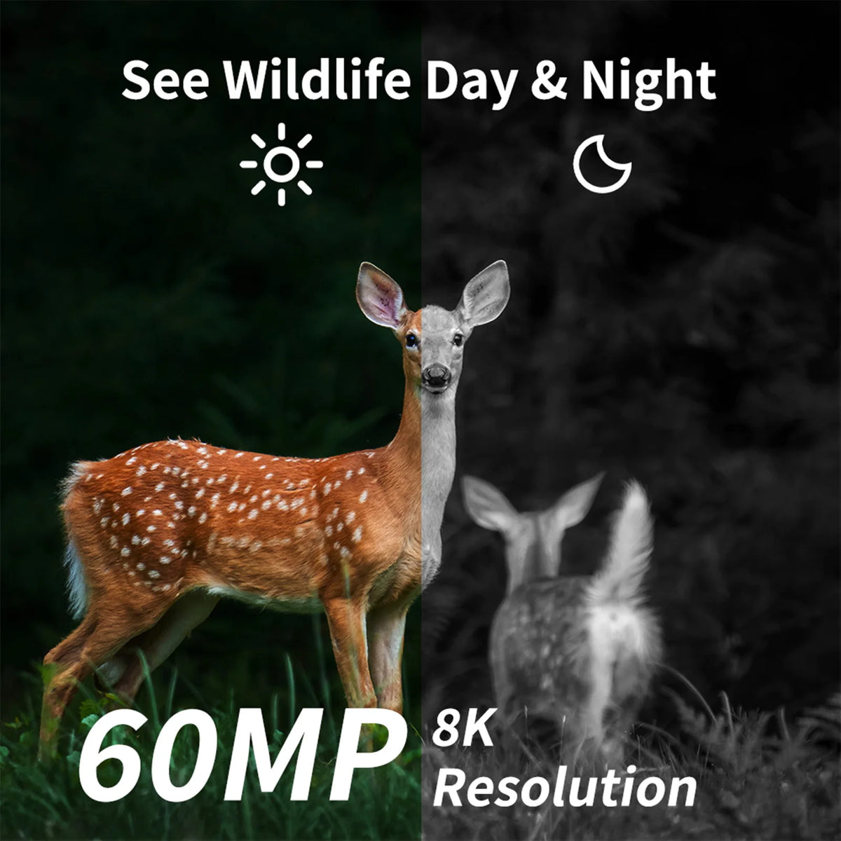 4G Wildlife Camera 8K 60MP IP66 - Night Vision Real Time