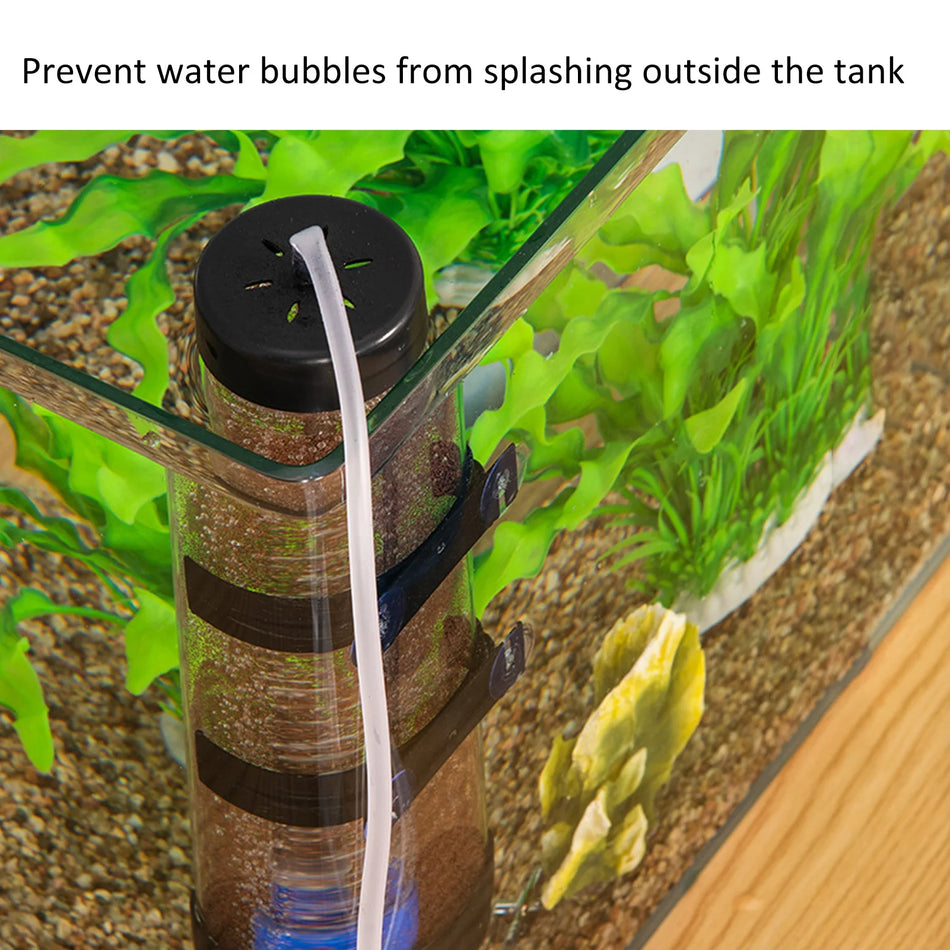 Artemia Eggs Hatchery Kit &ndash; Upgraded Amphibious Design