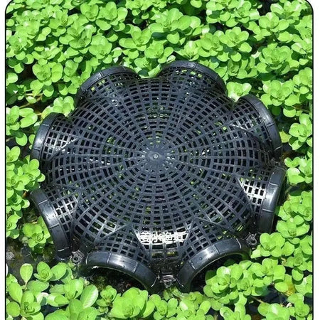 Durable Black Fish Net Cage: Perfect Trap for Eels, Loaches &amp; More