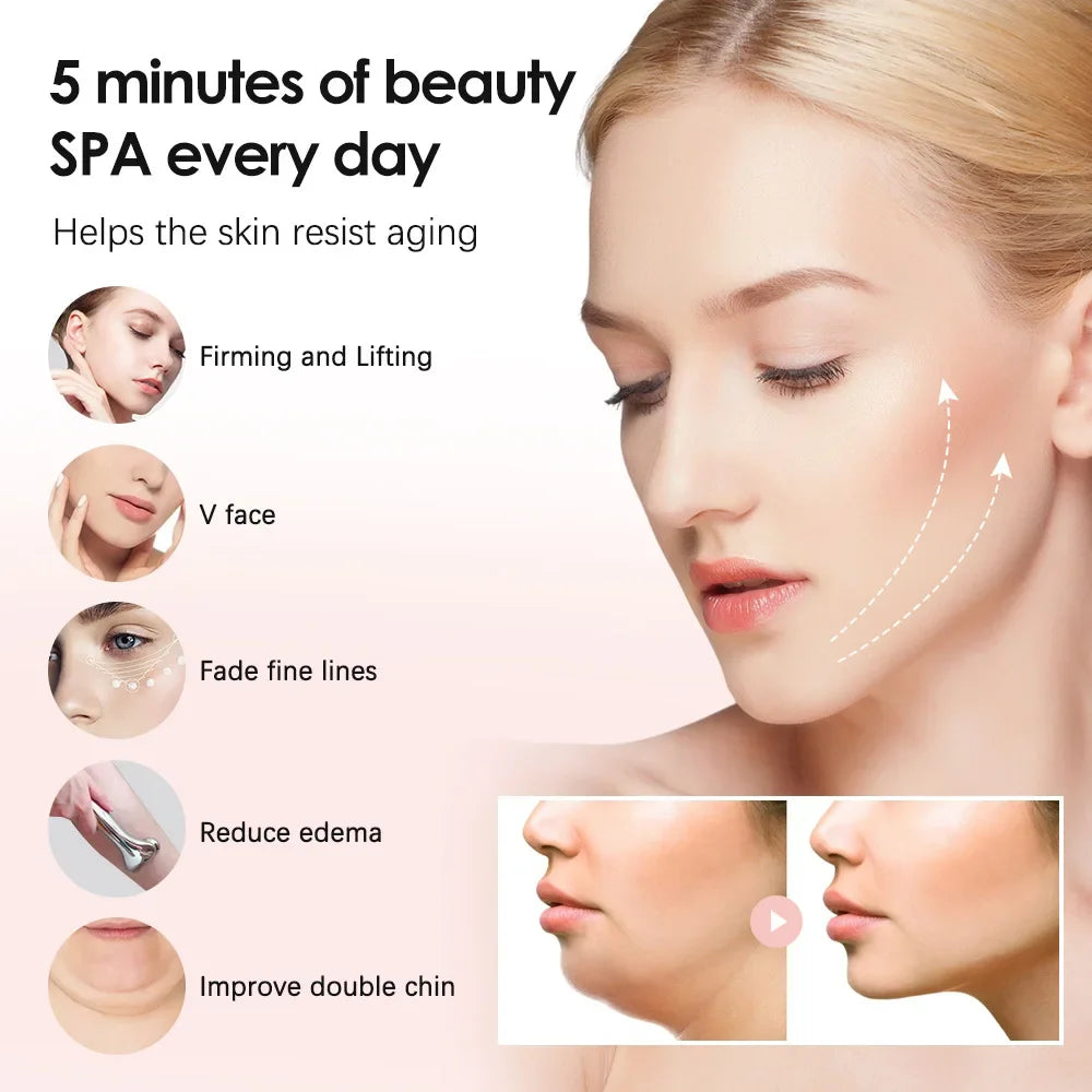 Dubniy Electric Facial EMS Micro-current Beauty Instrument &ndash; LED Display For 4D Face Lift