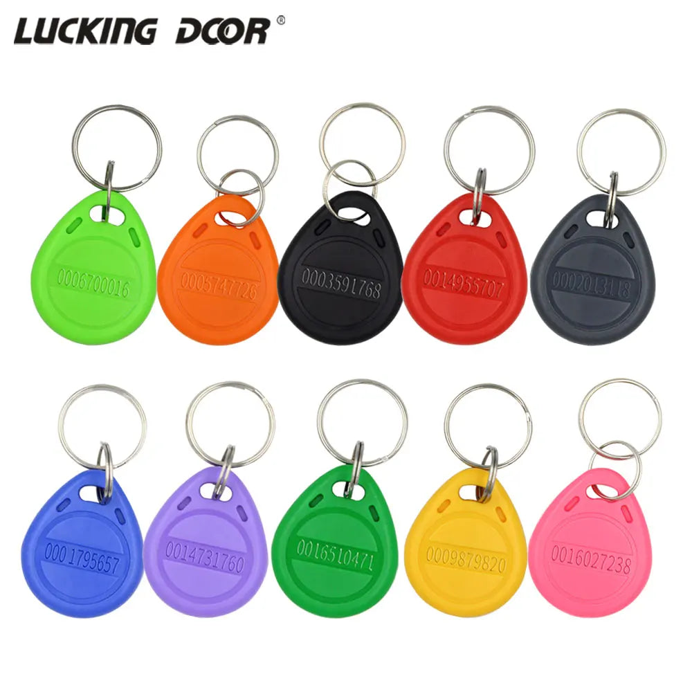 TK4100 125kHz RFID Keychain Card Tag &ndash; Access Control Ready