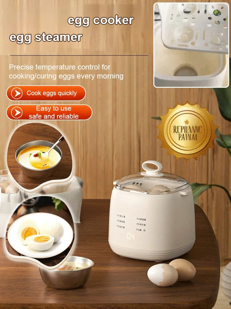 Electric Egg Cooker &amp; Steamer