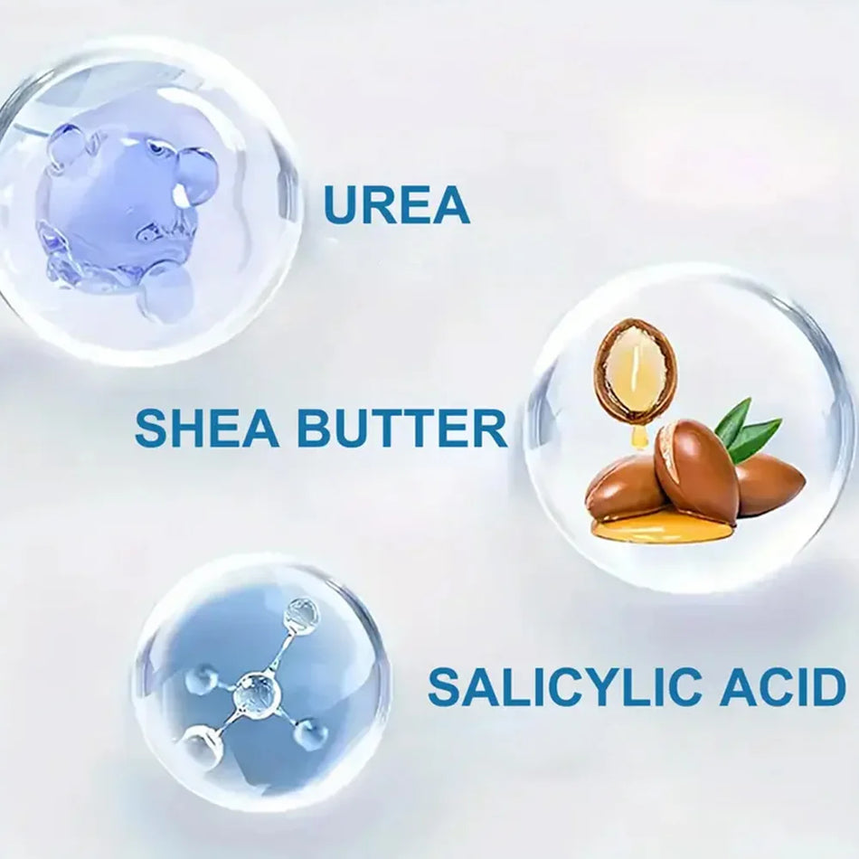 Bee Venom Moisturizing Cream &ndash; Luxurious Hydration and Anti-Aging Benefits