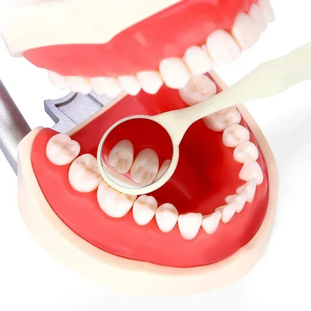 AG Dental Mouth Mirror Premium Front Surface &ndash; Dual-Sided