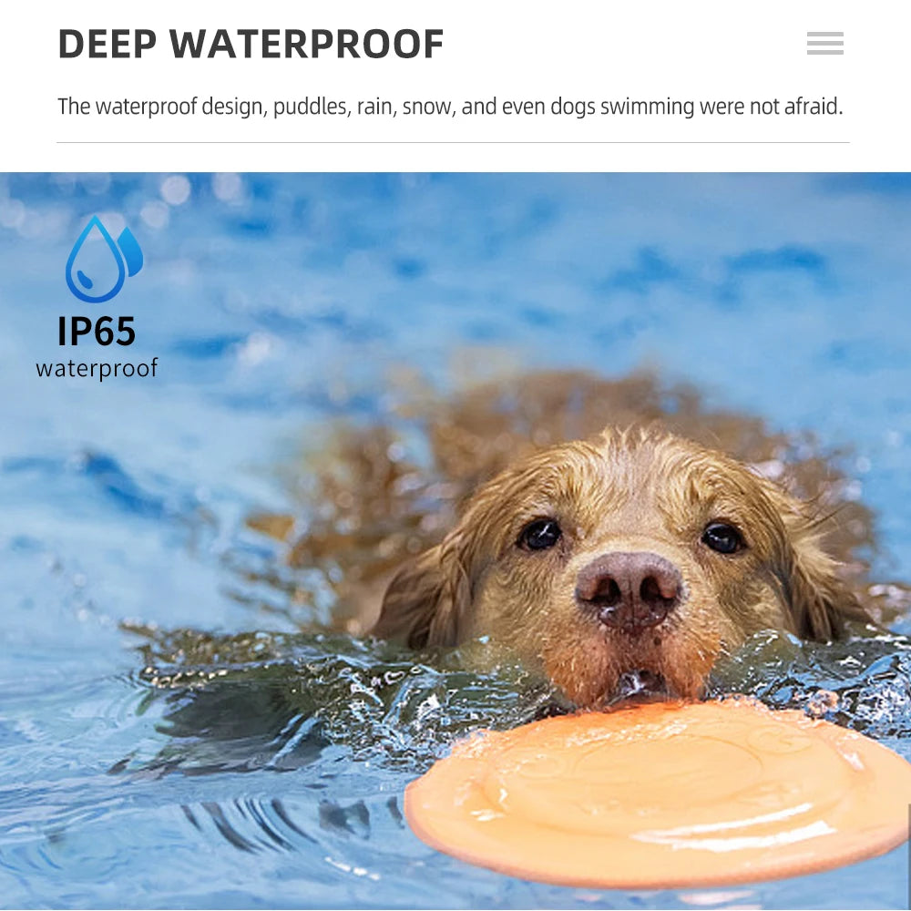 New 800m Electronic Dog Training Collar &ndash; Remote Control