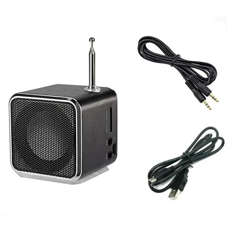 TD-V26 &ndash; Rechargeable Portable FM Radio With Bluetooth black