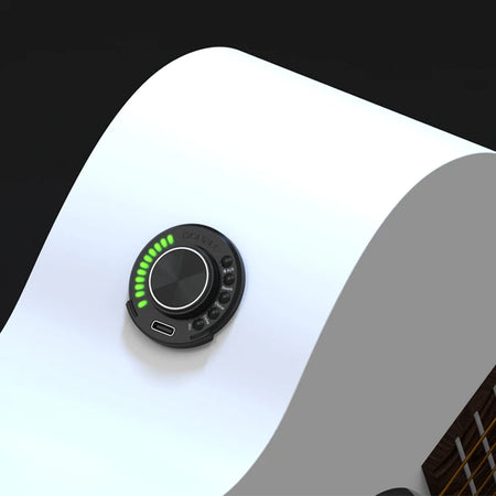 Double OS1 Acoustic Guitar Pickup &ndash; Chorus Delay Reverb