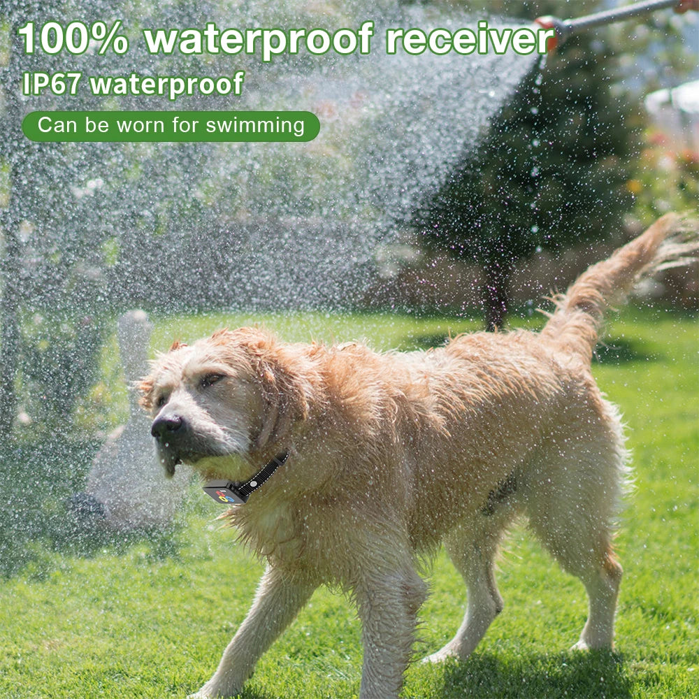 800M Electric Dog Training Collar &ndash; Waterproof Rechargeable
