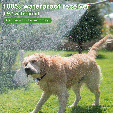 800M Electric Dog Training Collar &ndash; Waterproof Rechargeable