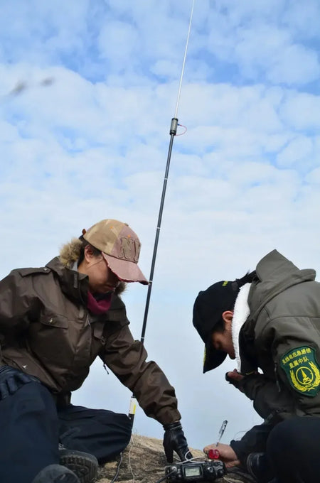 PAC-12 - Portable Multi Band HF Shortwave Antenna Outdoor
