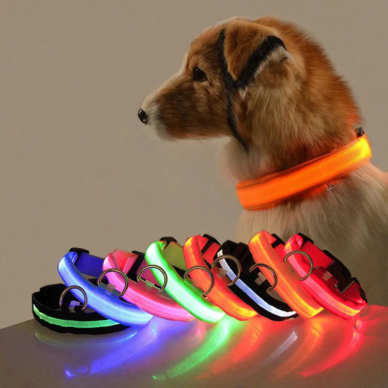 🟠 Led Dog Collar Light Anti-lost Collar For Dogs Puppies  Night Luminous Supplies Pet Products Accessories USB Charging/Battery