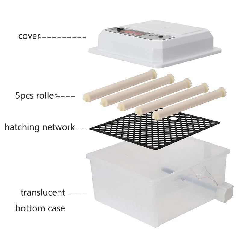16 Eggs Dual-Electric Fully Automatic Turning Egg Incubator Household ...