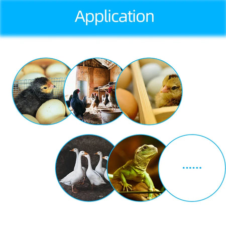 XM-18 Smart Digital Egg Incubator Controller &ndash; All-In-One
