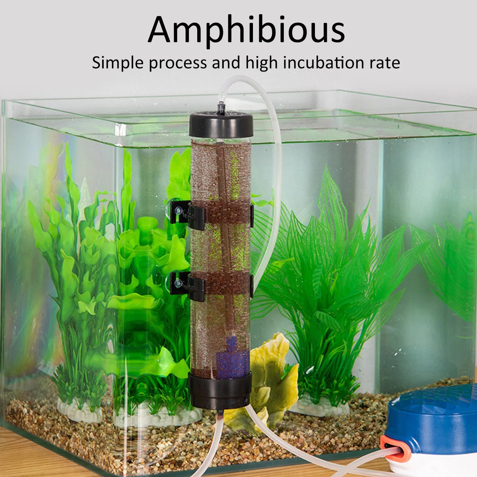 Artemia Eggs Hatchery Kit &ndash; Upgraded Amphibious Design