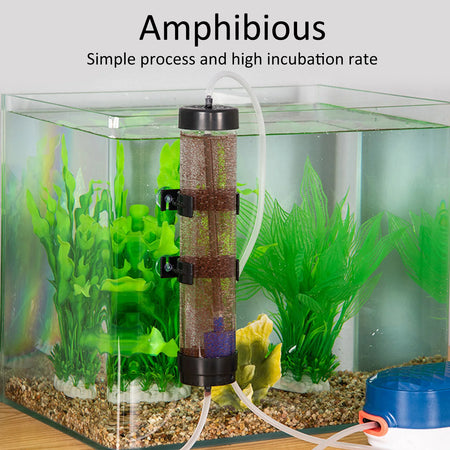 Artemia Eggs Hatchery Kit &ndash; Upgraded Amphibious Design