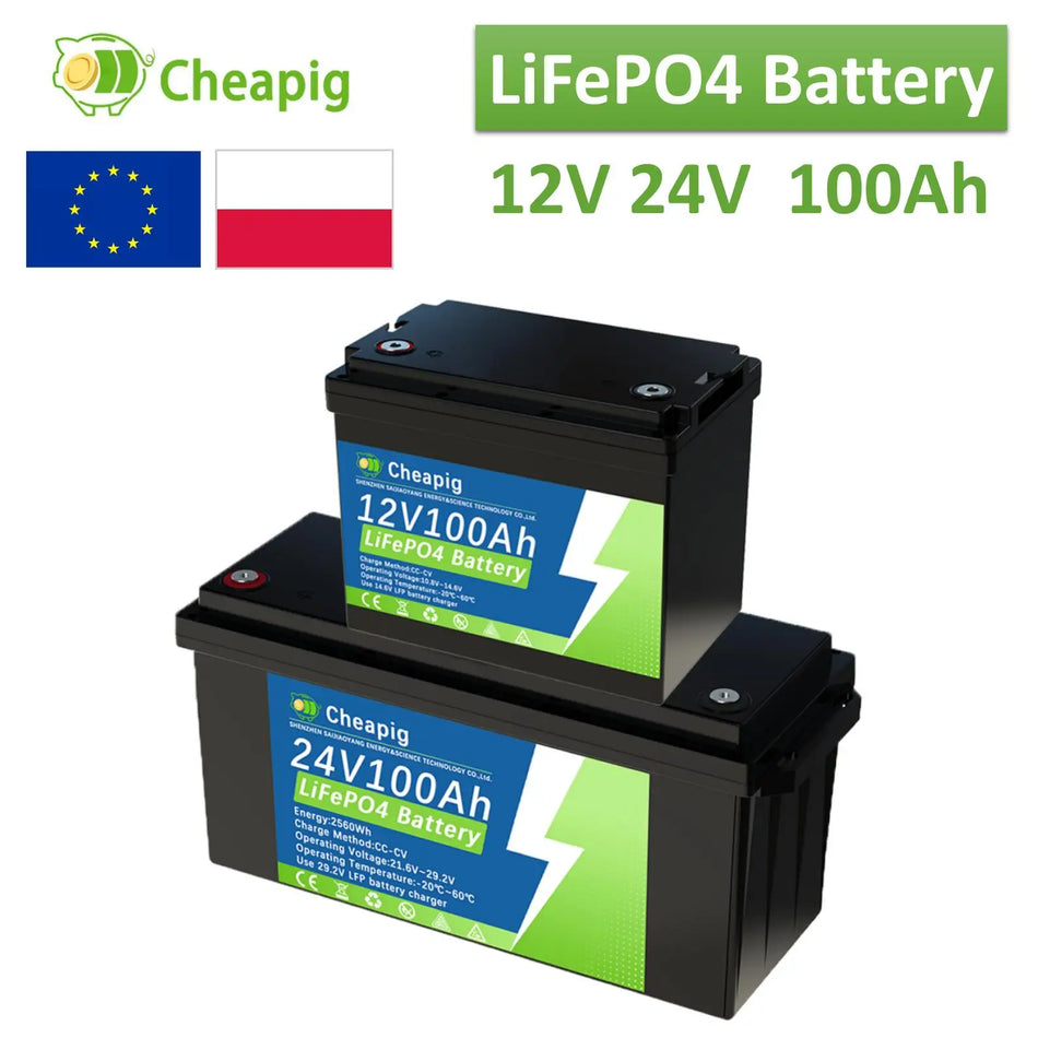 Pacco Batteria SJY LiFePO4 12V e 24V 100Ah con BMS 100A Integrato per Camper Barca Marina Energia Solare