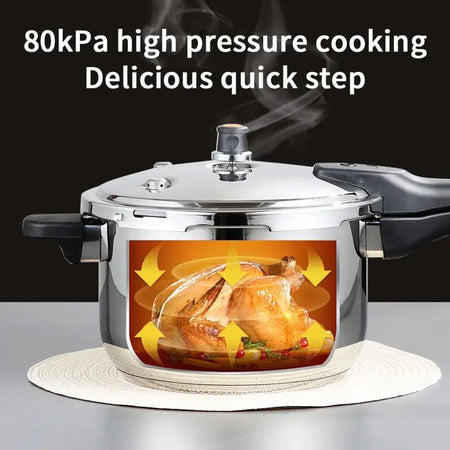 Balashov 4L 220V Gas Pressure Cooker 80KPa Safety