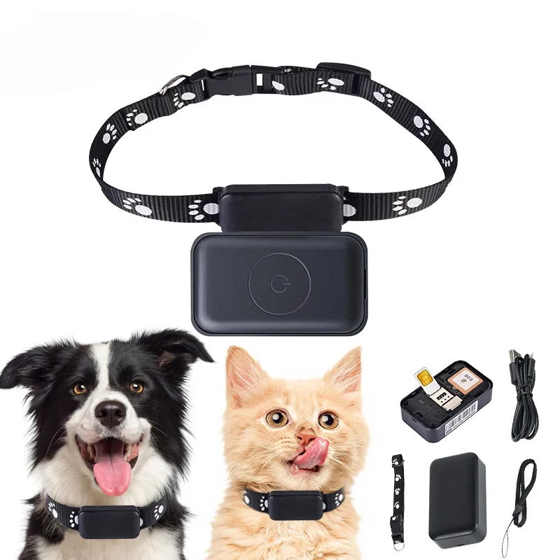 Waterproof Pet GPS Tracker P03 &ndash; Real Time Tracking