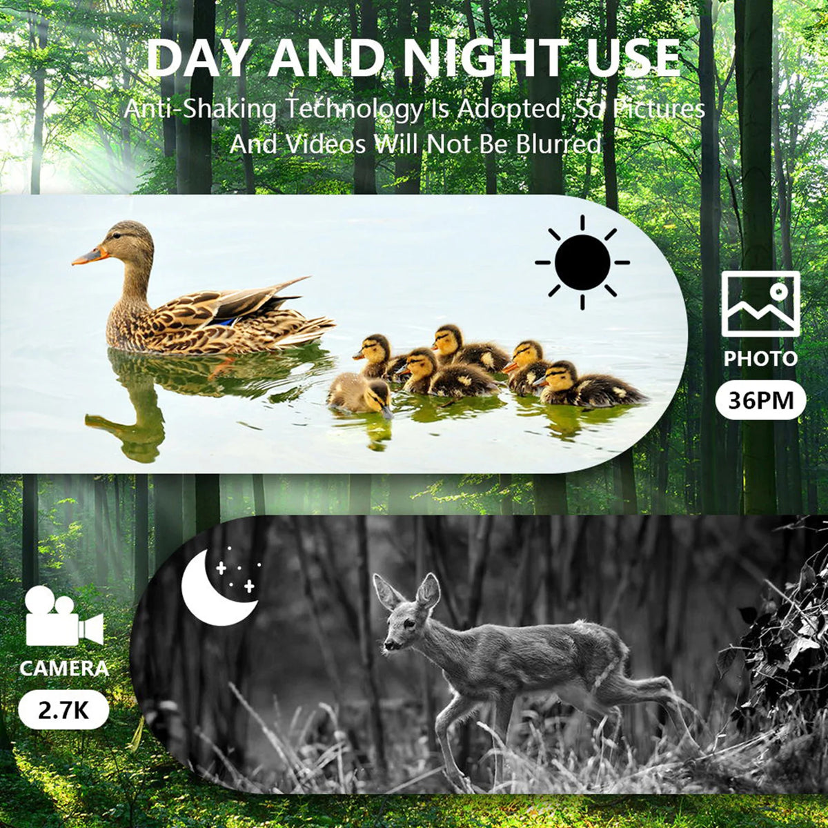 AQUILA Night Viewing Binoculars &ndash; Infrared Night Vision