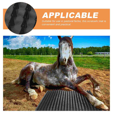 Cow Body Brushing and Itch Tool Mat &ndash; Scratch Pad for Cattle